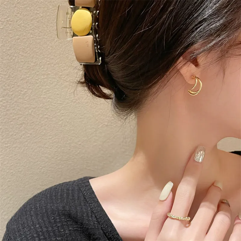 Simple Design Metal Rings Earrings